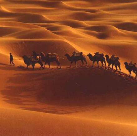 西安建設絲綢之路經(jīng)濟帶（新起點）戰(zhàn)略規(guī)劃國際招標代理